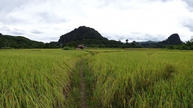 18th October - Walk to Huay Bo [Laos]