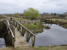 3rd April - Kobuleti nature reserve [Georgia]