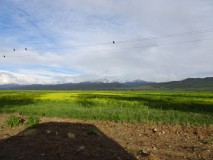 2nd to 5th June - Karakol & around [Kyrgyzstan]