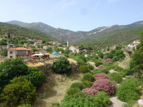 20th May - Doğanbey village [Turkey]