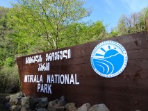 5th April - Mtirala National Park [Georgia]