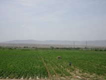17th June - drive to Turpan [Xinjiang, China]