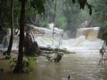 20th July - Kuang Si waterfall and park [Laos]