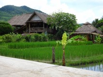 20th July - The Living Land rice farm [Laos]