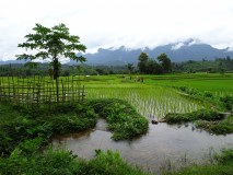 7th August - Na Kout village and area [Laos]